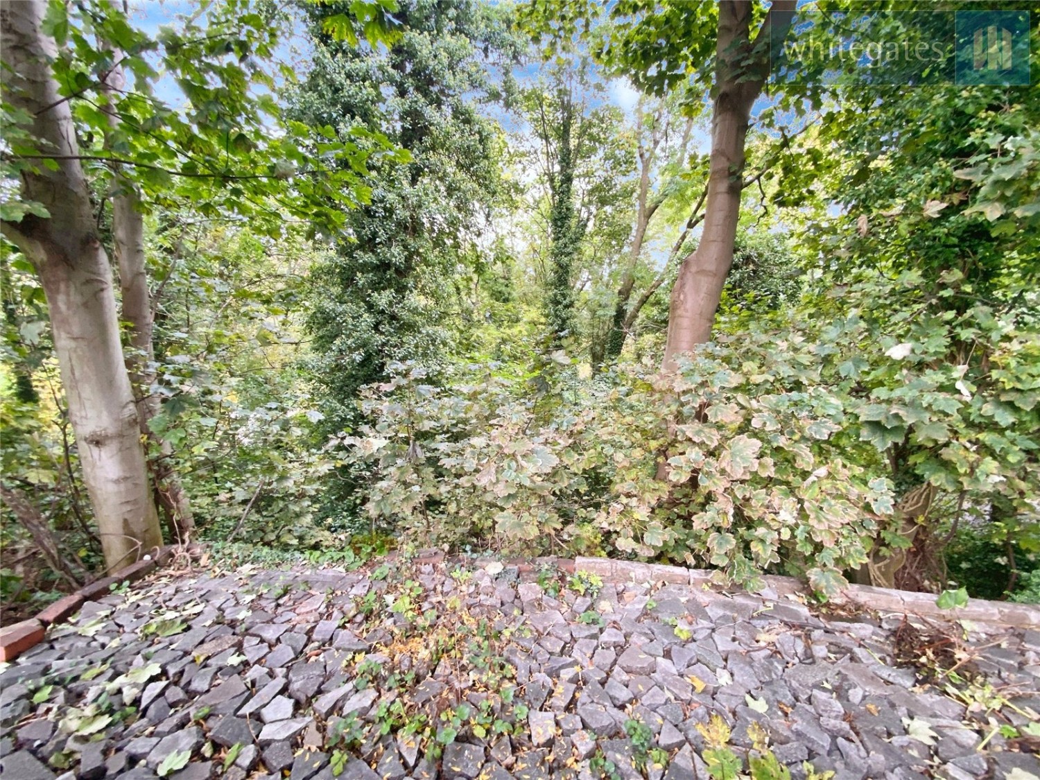 Wrexham Road, Brynteg, Wrexham