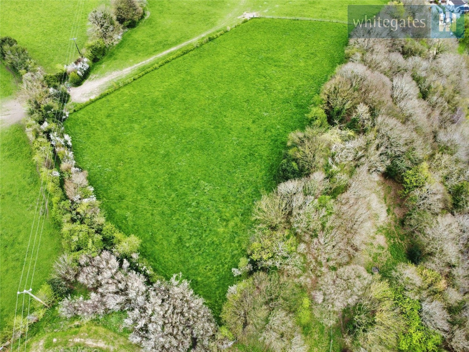 Cefn-y-Bedd, Wrexham