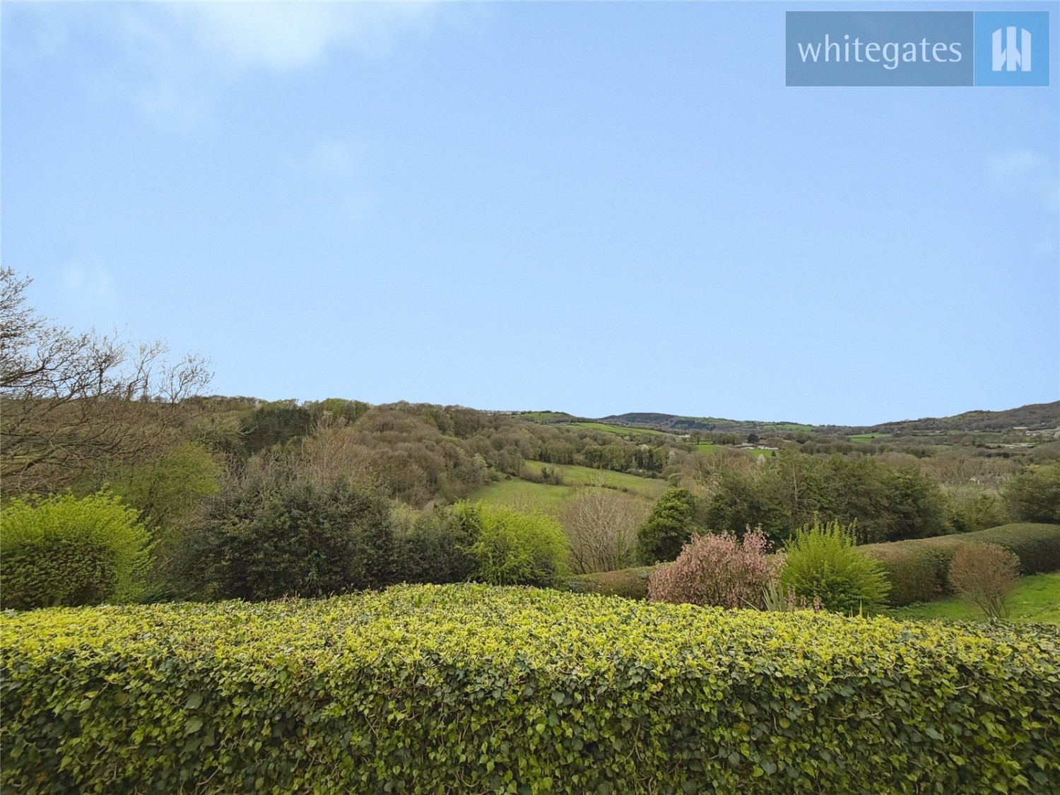 Cefn-y-Bedd, Wrexham