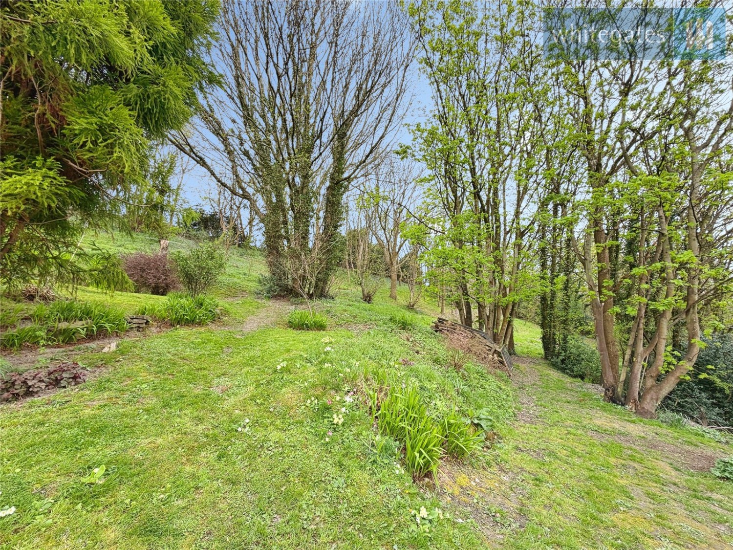 Cefn-y-Bedd, Wrexham