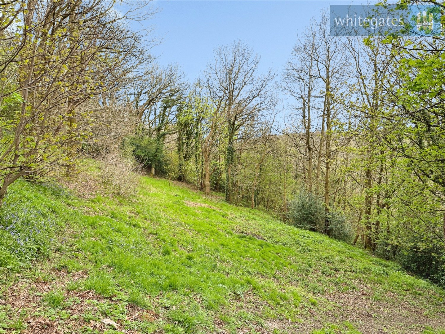 Cefn-y-Bedd, Wrexham