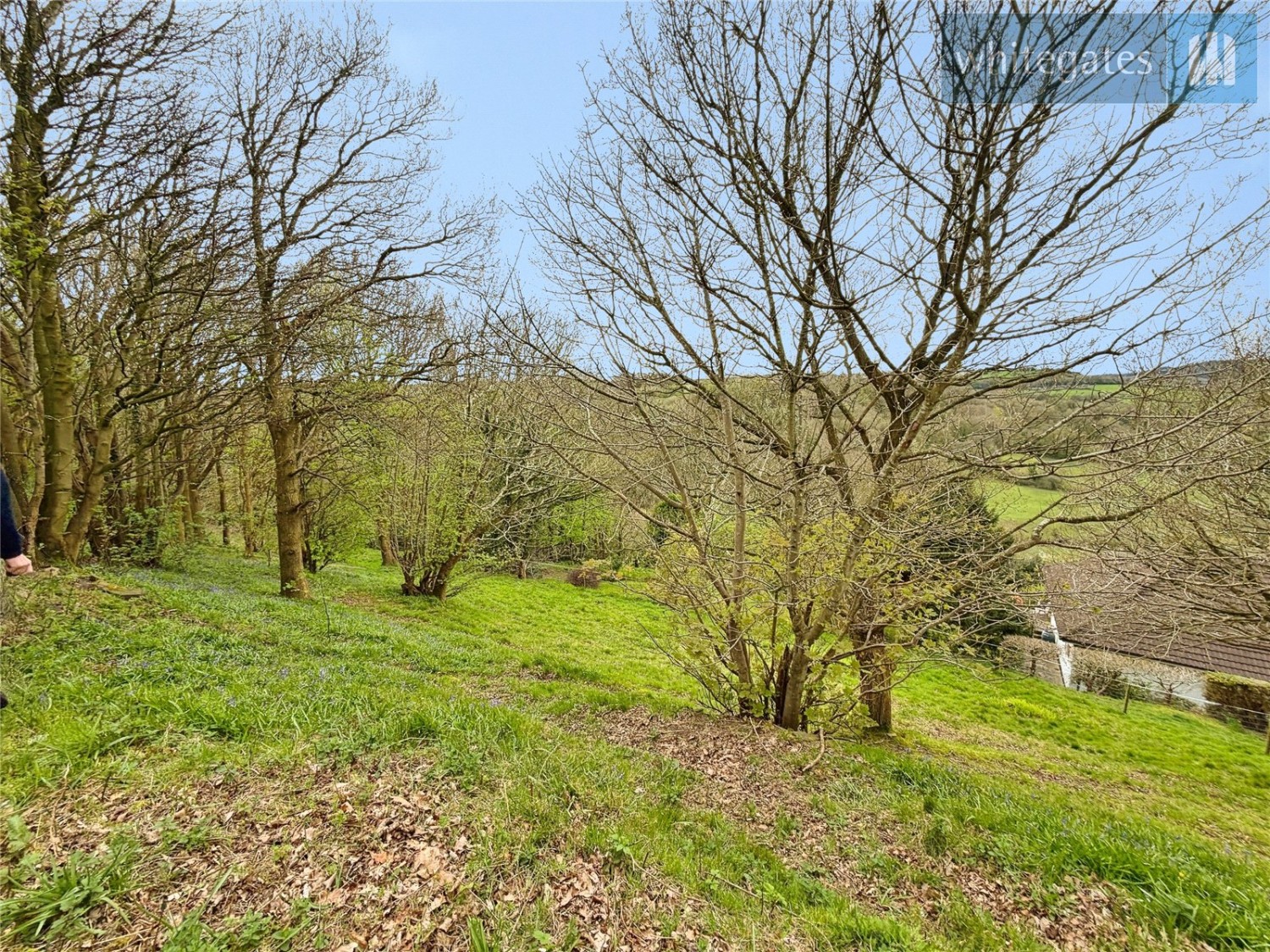 Cefn-y-Bedd, Wrexham