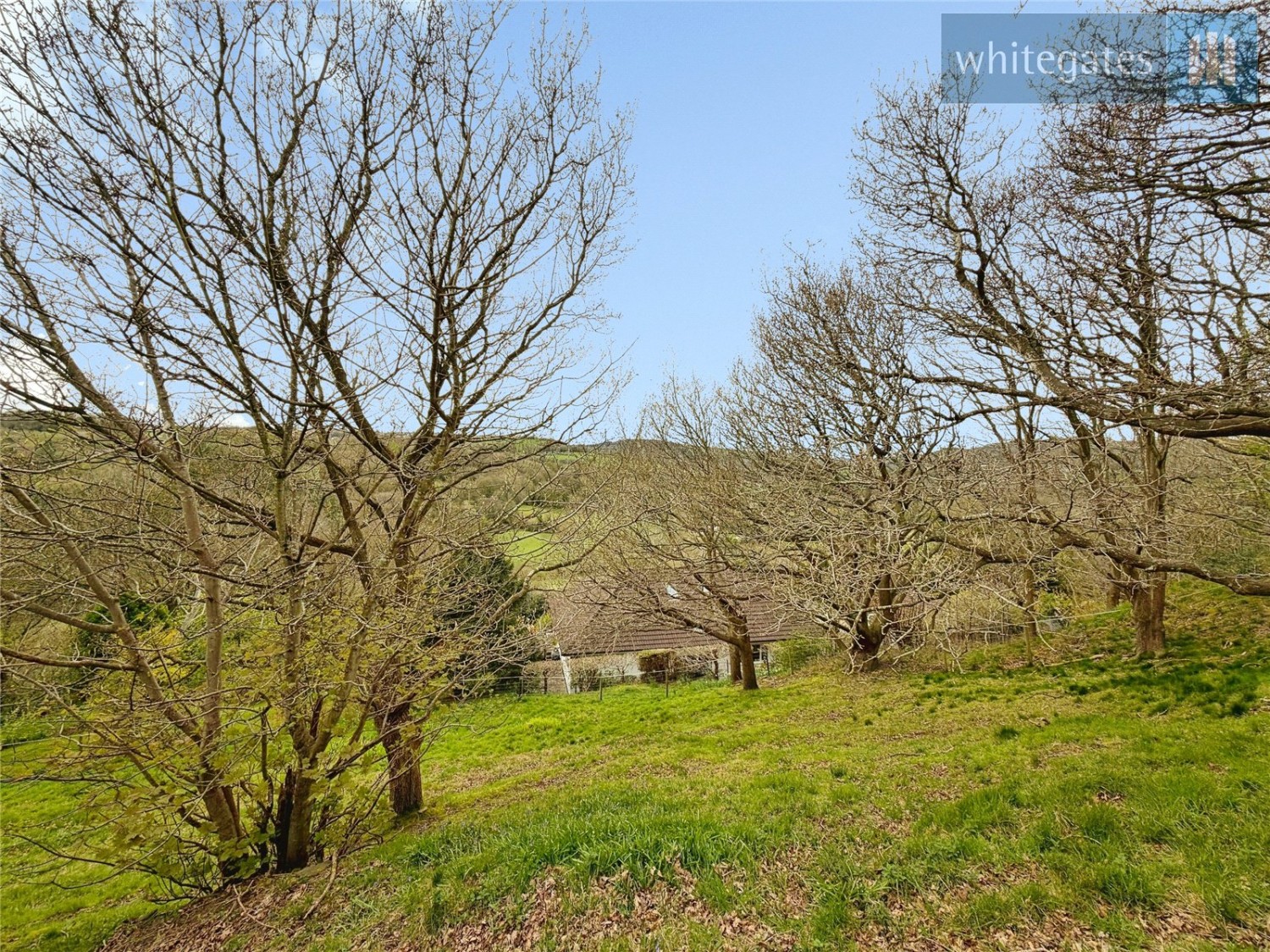 Cefn-y-Bedd, Wrexham