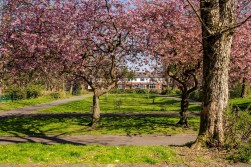 Tonge Park Avenue, Bolton, BL2