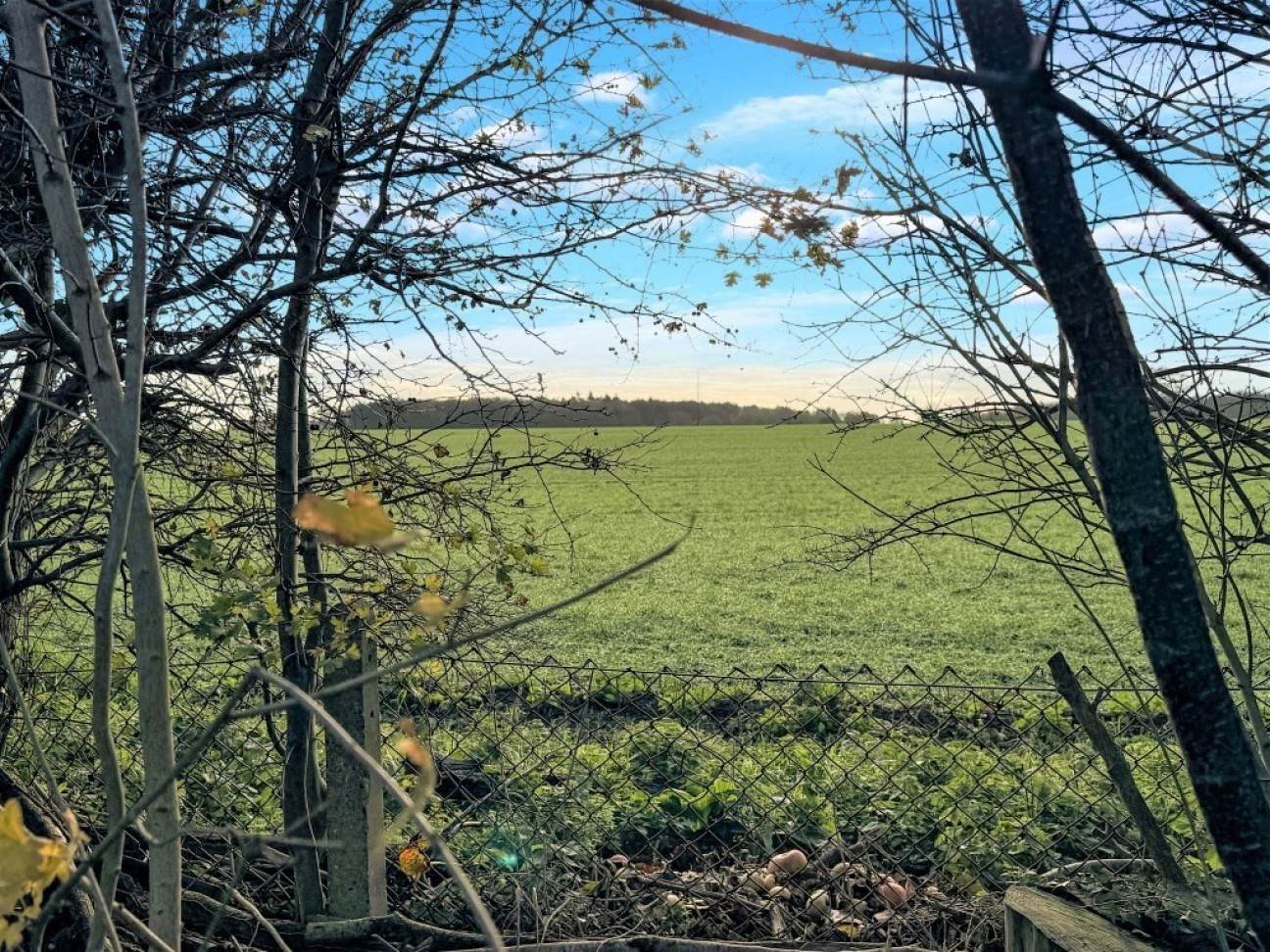 Main Road, Chelmondiston
