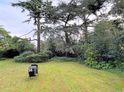 Constitution Hill, Ipswich