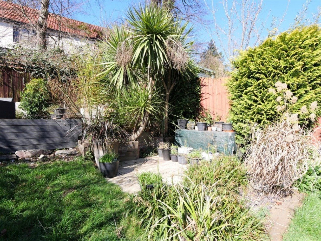 Tuddenham Avenue, Ipswich