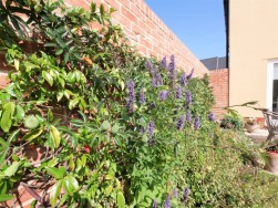 Bradley Mill Way, Needham Market, Suffolk