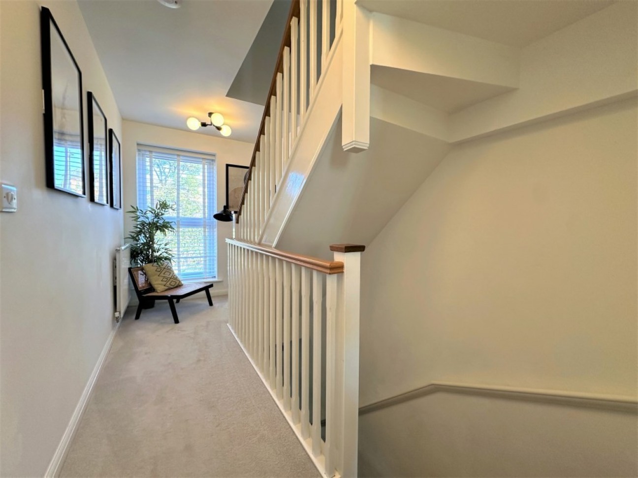 Blackheath Avenue, Ipswich