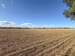 Playford Road, Rushmere St. Andrew