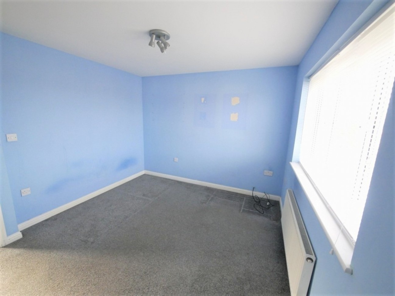 Lotus Close, Ipswich, Suffolk