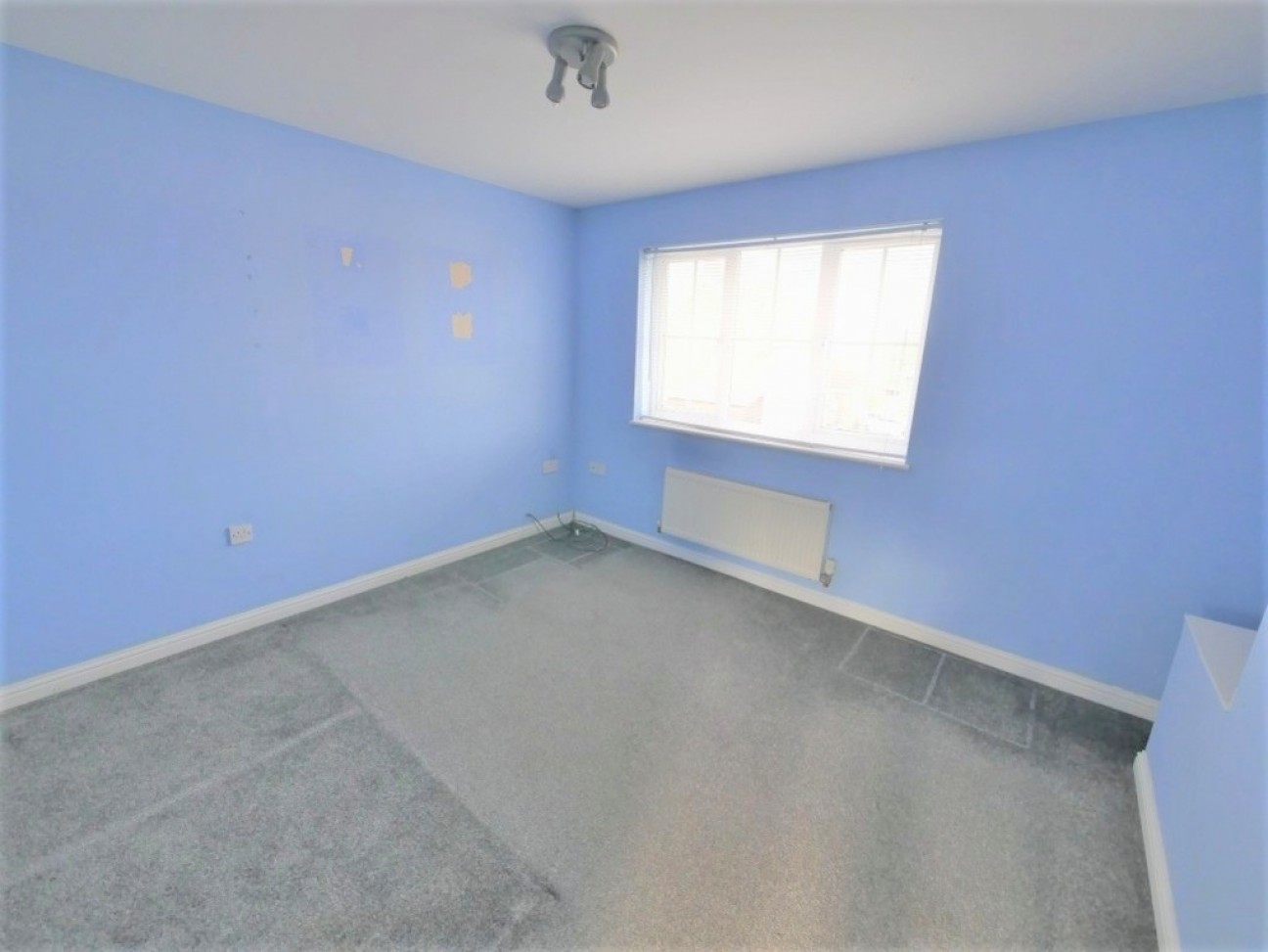 Lotus Close, Ipswich, Suffolk