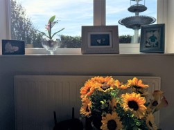 Gate House, Levington, Ipswich