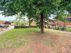 Yew Tree Rise, Pinewood, Ipswich